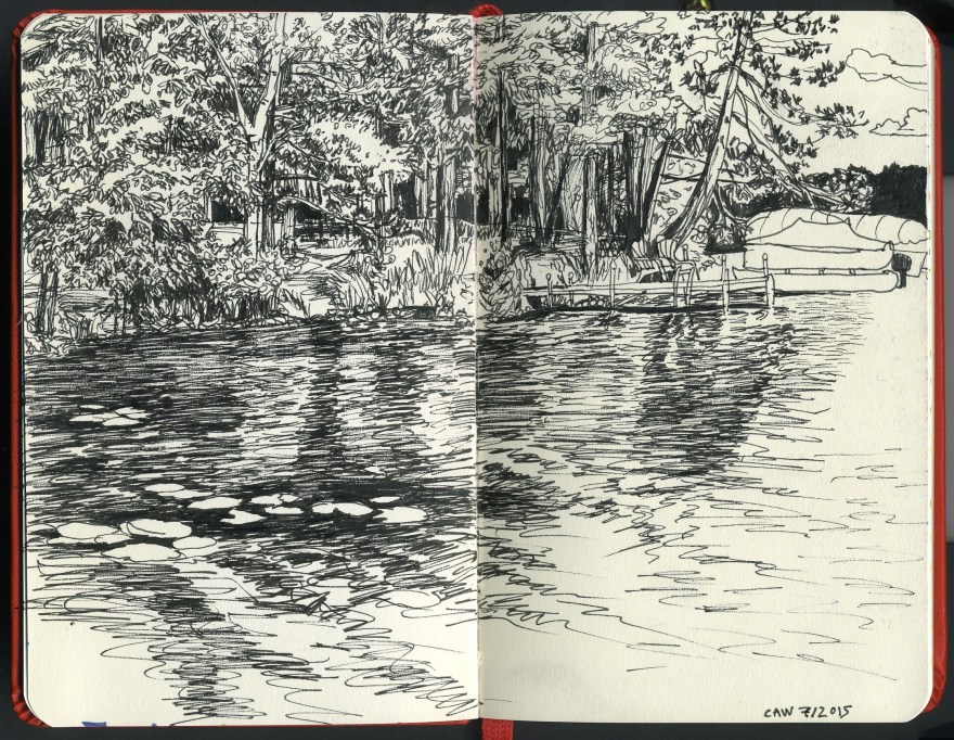 carmen wood illustrator whimsical picture book art minneapolis